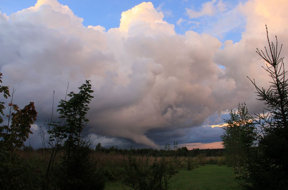Photograph by Волкова Владимира