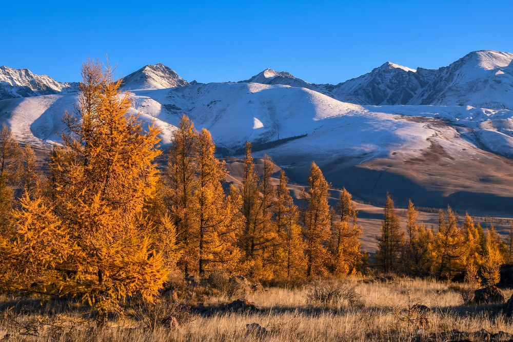 Photograph by Татьяна Мещерякова