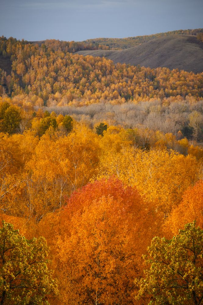 Photograph by Алексей Курочкин
