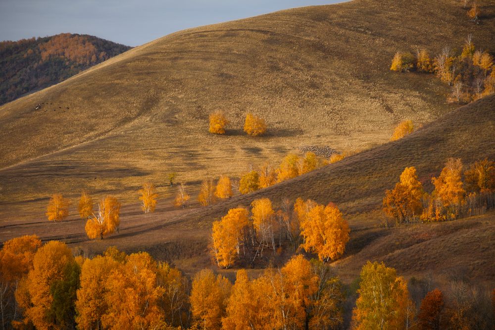 Золота осень в уральских горах