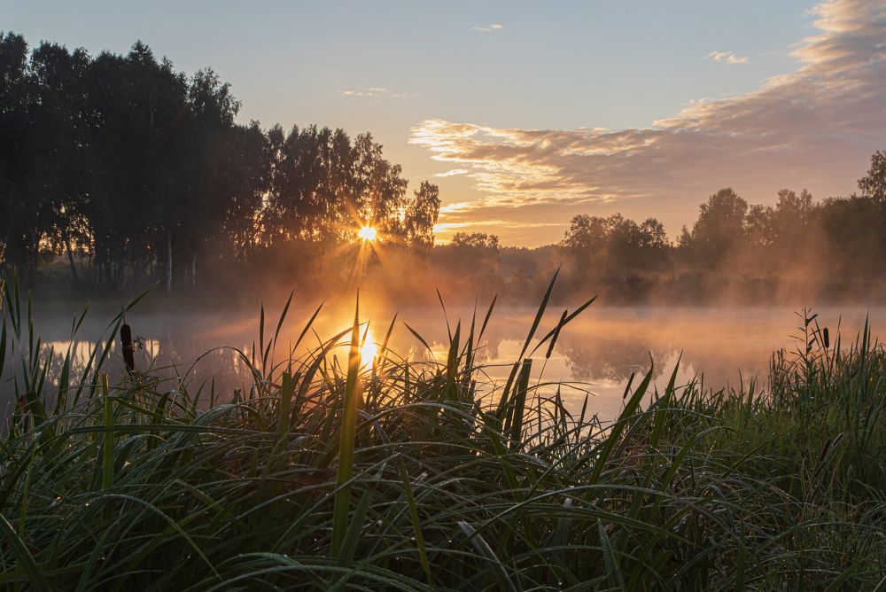Photograph by Людмила Сливкина