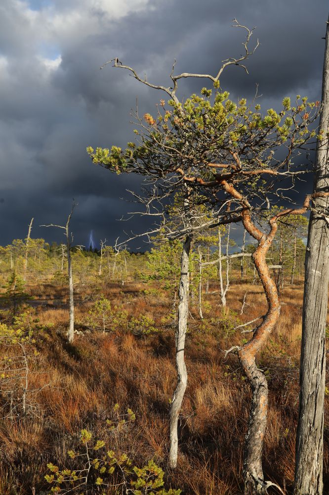 Фотография автора Андрей Шувалов