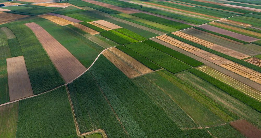 Фотография автора konstantin zhdanov