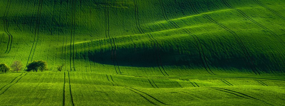 Photograph by konstantin zhdanov