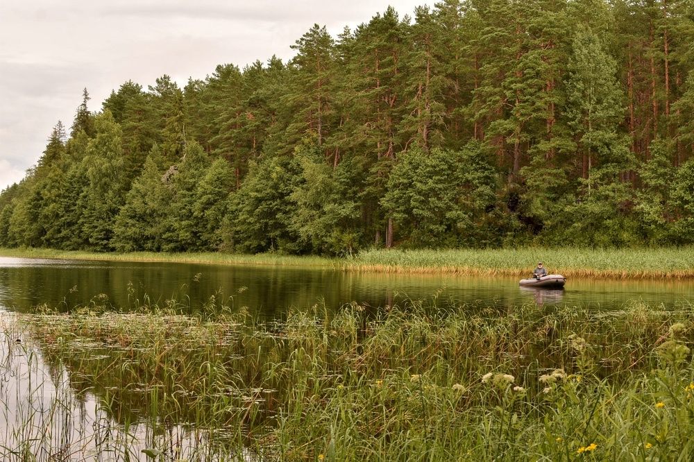 Photograph by Татьяна Абабкова