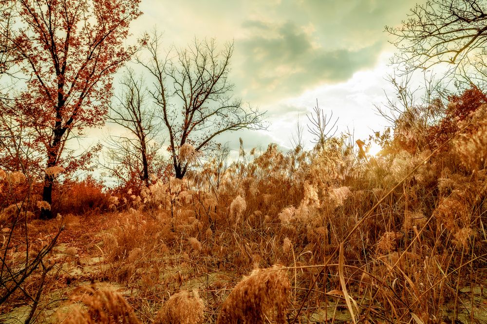 Photograph by Егор Круглов