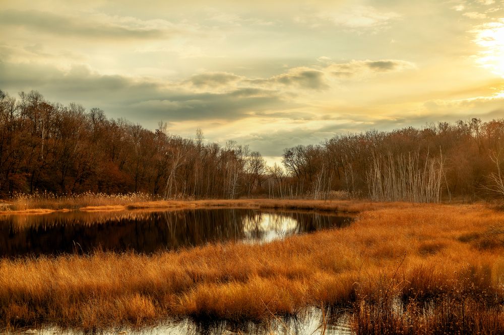 Photograph by Егор Круглов