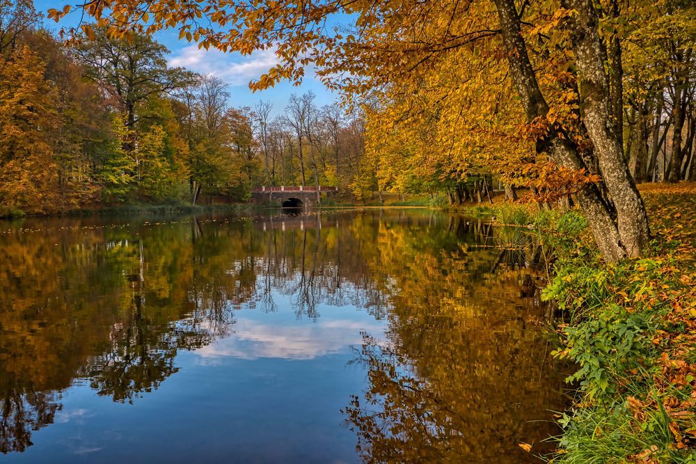 Photograph by Albina Kulikova