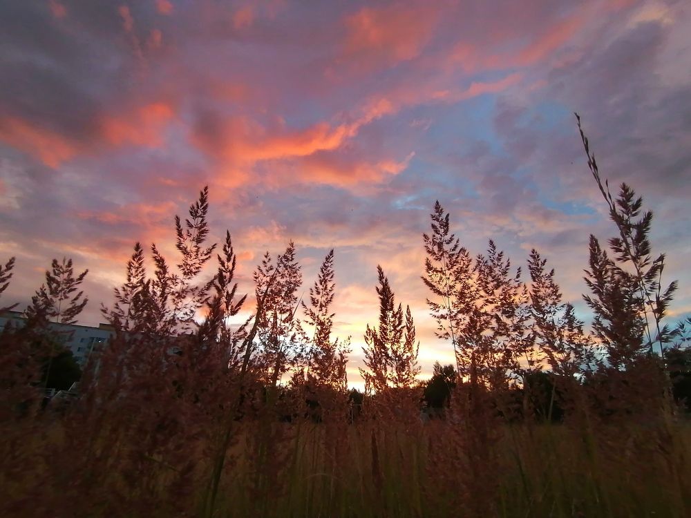 Фотография автора Елена Бракоренко