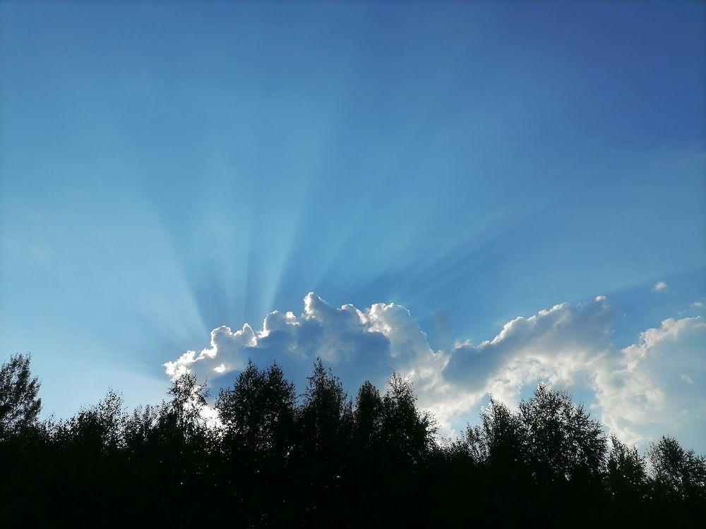 Фотография автора Елена Бракоренко