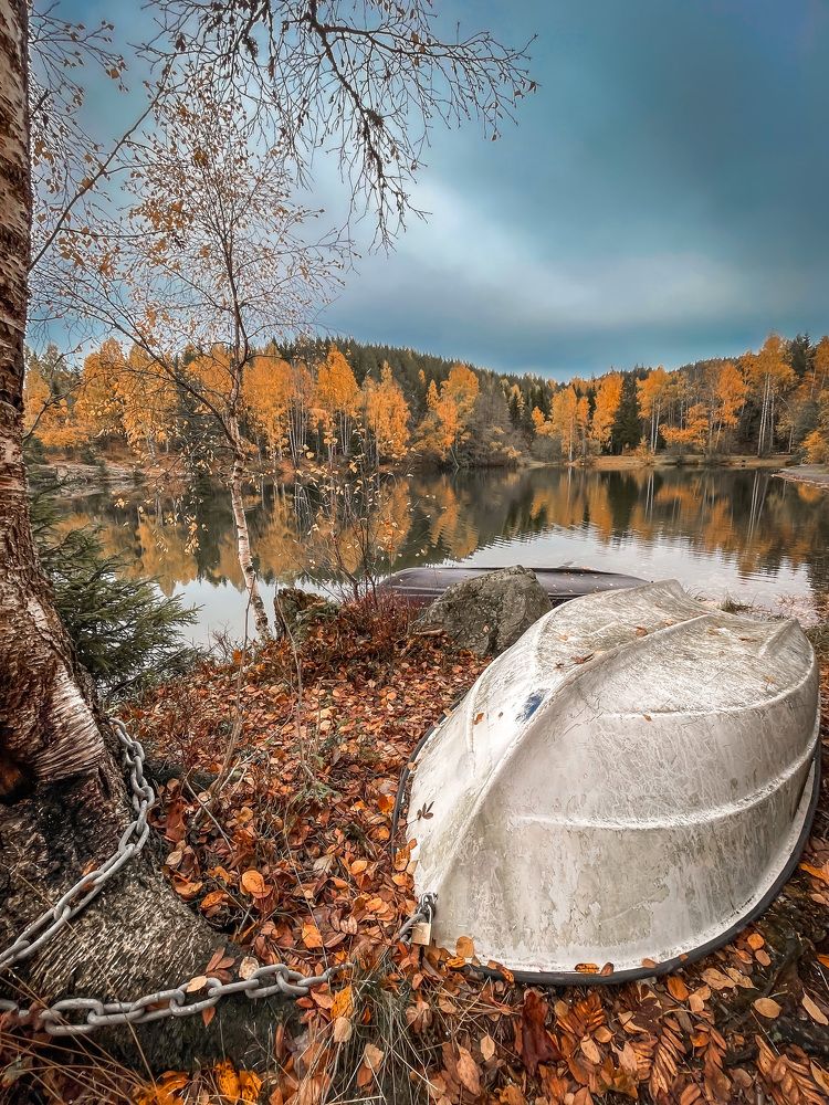 Фотография автора Anna NovaLova