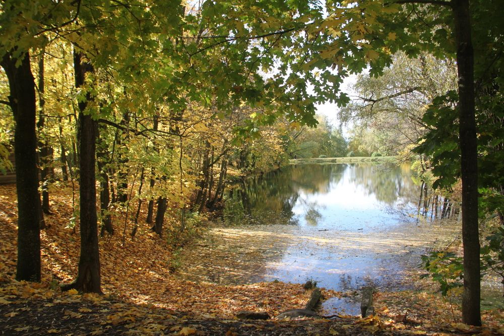 Photograph by Юлия