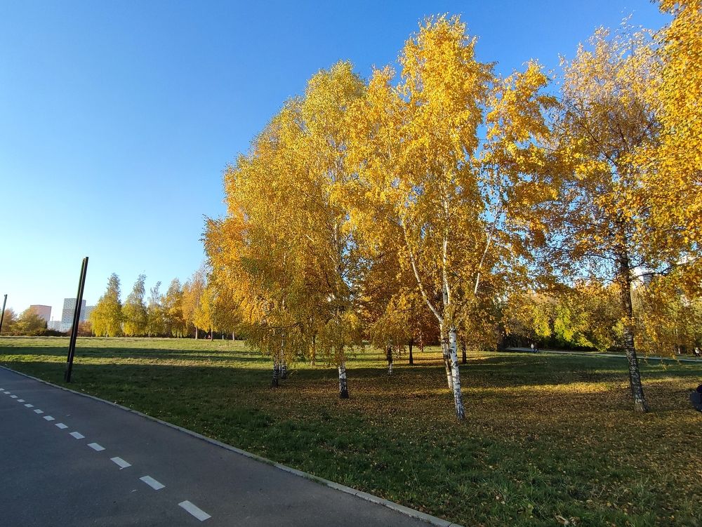 Photograph by DARIA DEMINA