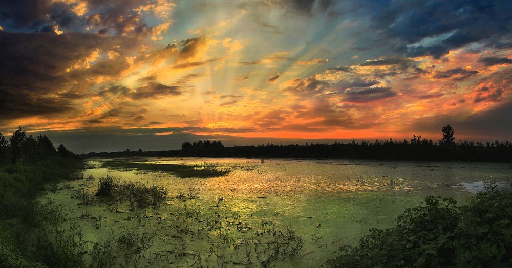 Photograph by hasan jouri