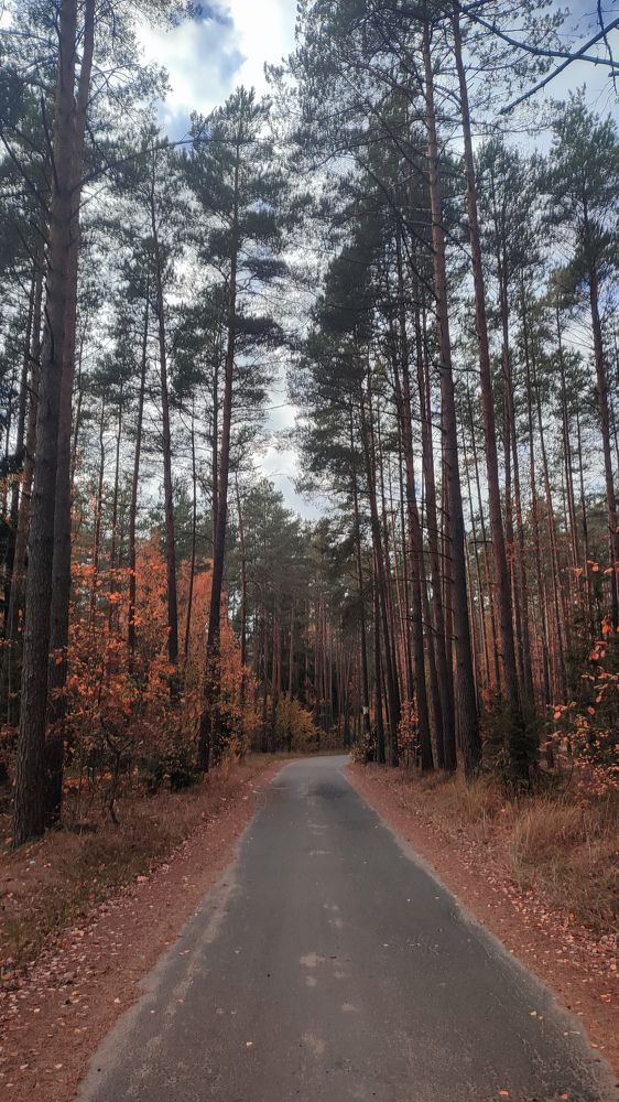 Photograph by Михаил Бородкин