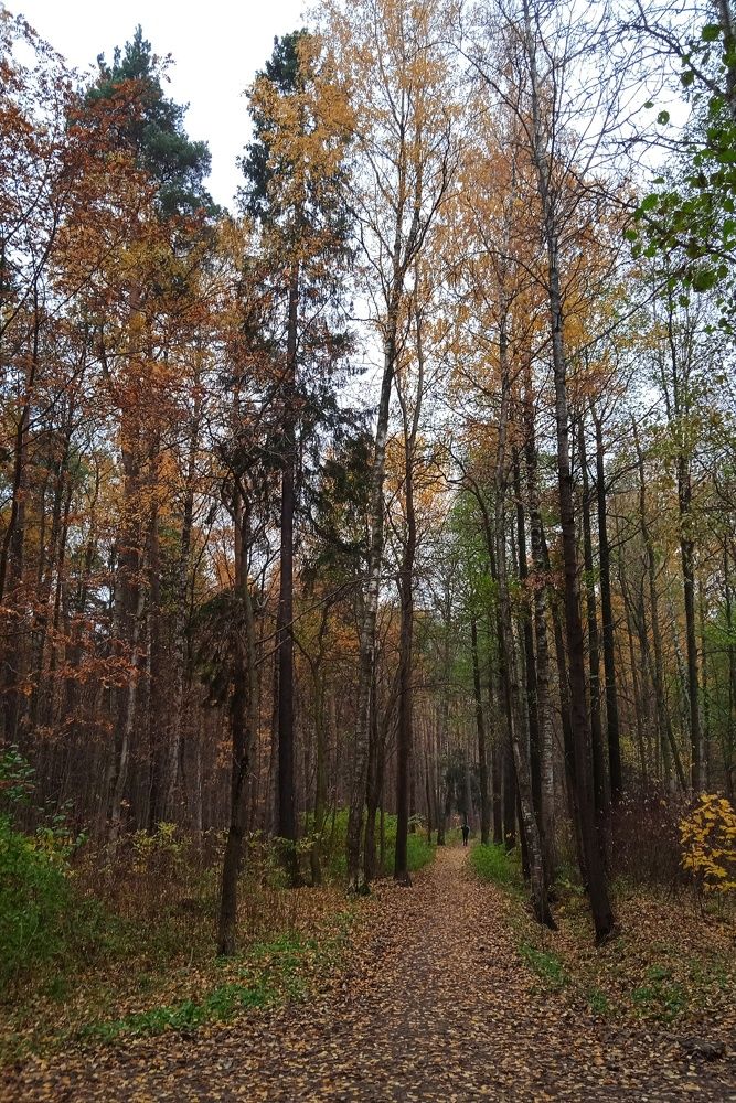 Photograph by Татьяна Юдина