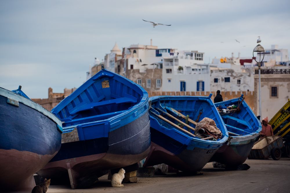 Фотография автора konstantin zhdanov