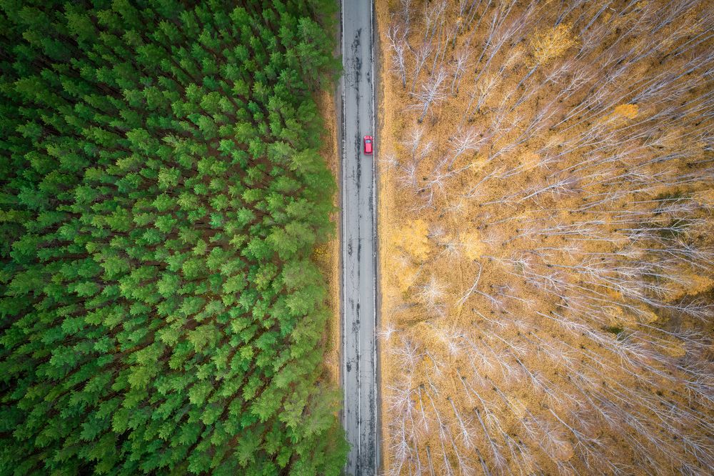 Photograph by Александр Рудный