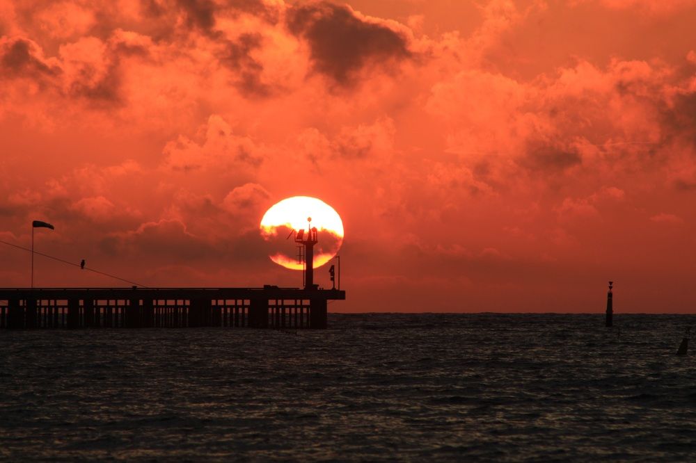 Photograph by Инна Майорова