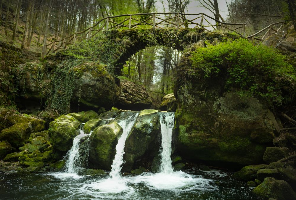 Photograph by Mariia Muratova