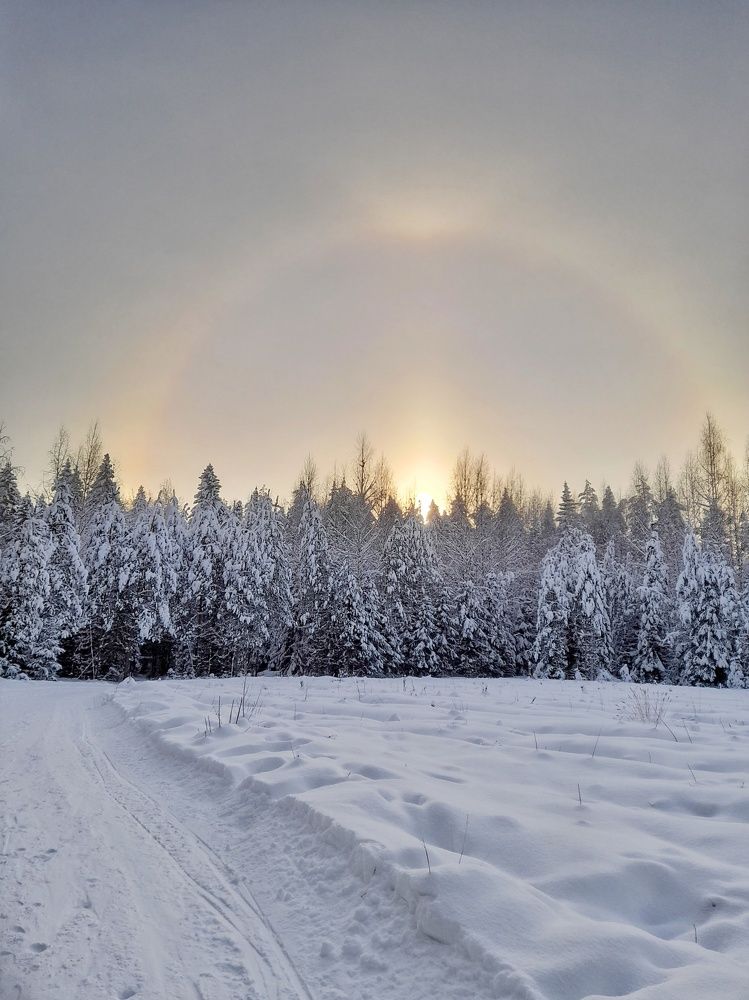 Фотография автора Тамара Караваева
