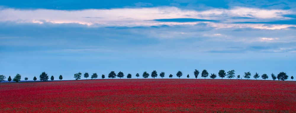 Фотография автора konstantin zhdanov