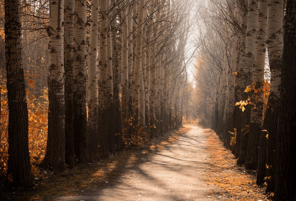 Photograph by ИРЕНА Федорова