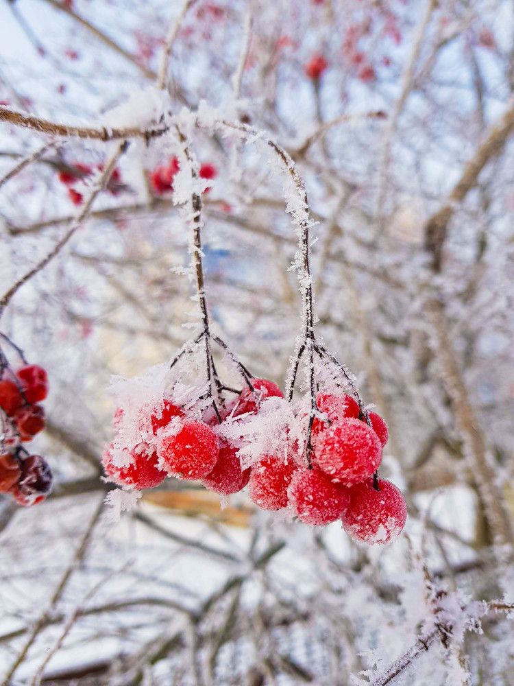 Photograph by Volkova Nataliia