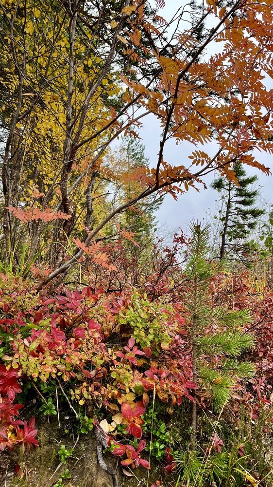 Photograph by Юлия Казимирова