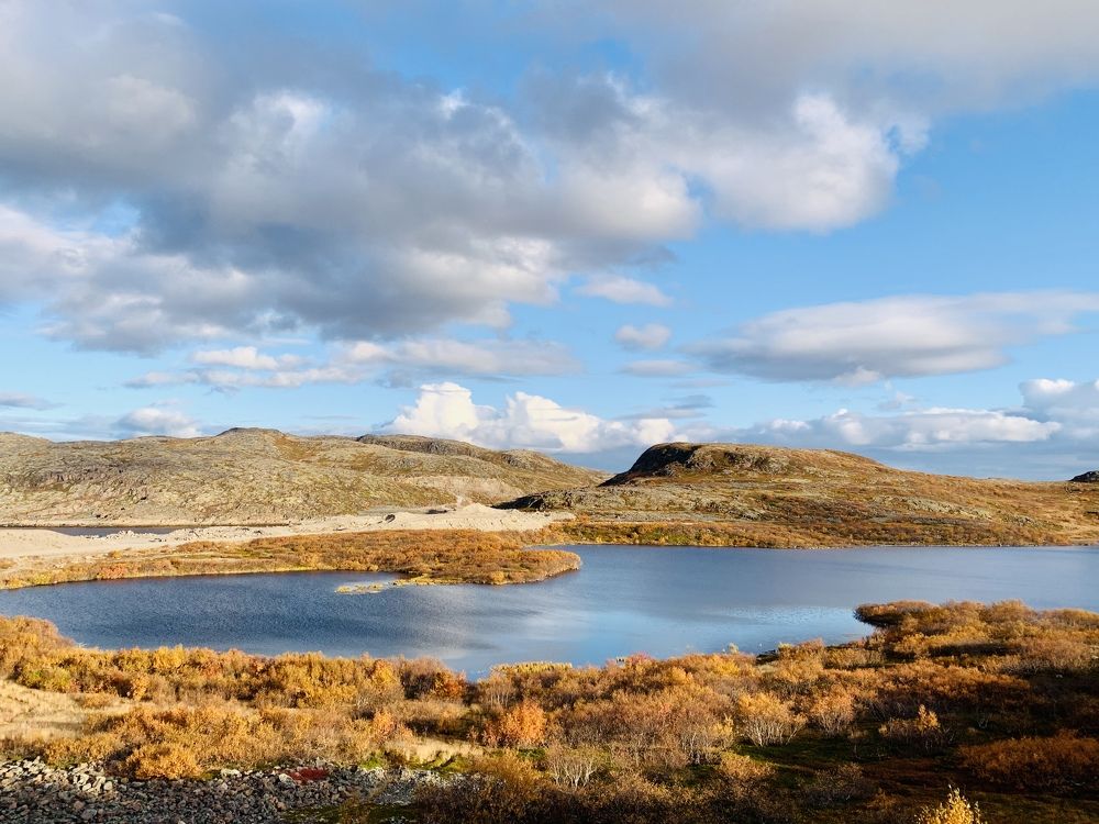 Photograph by Юлия Казимирова