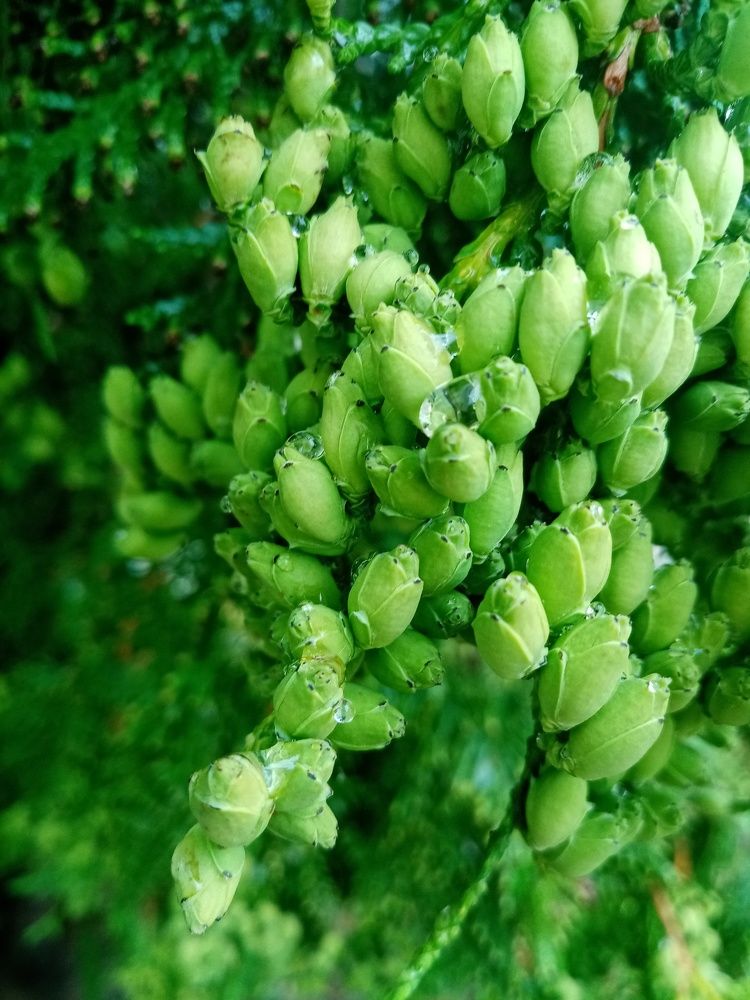 Photograph by Михаил Царикевич