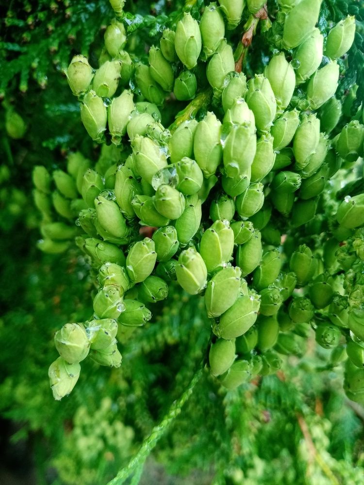 Photograph by Михаил Царикевич