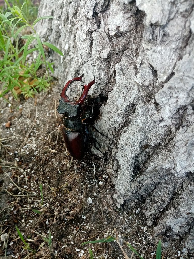 Photograph by Михаил Царикевич