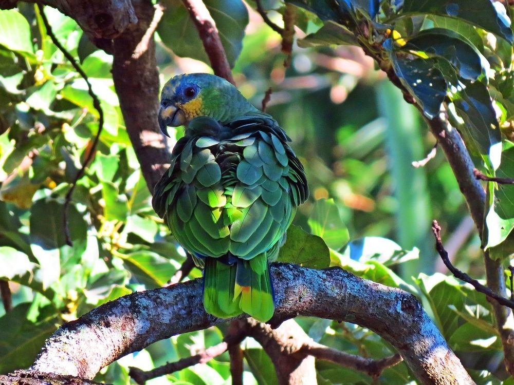 Photograph by Hilary McShine