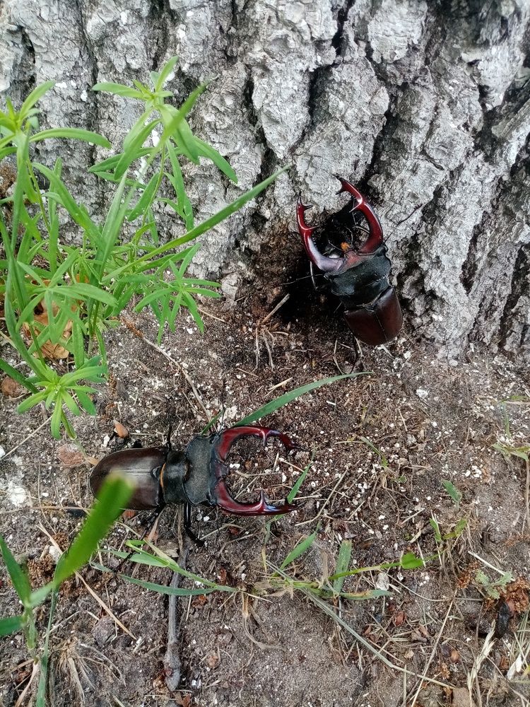 Photograph by Михаил Царикевич