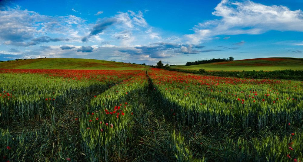 Фотография автора konstantin zhdanov