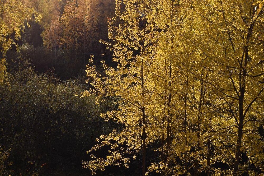 Photograph by Татьяна Юдина