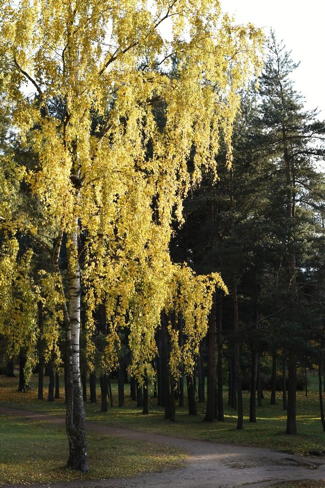 Photograph by Татьяна Юдина