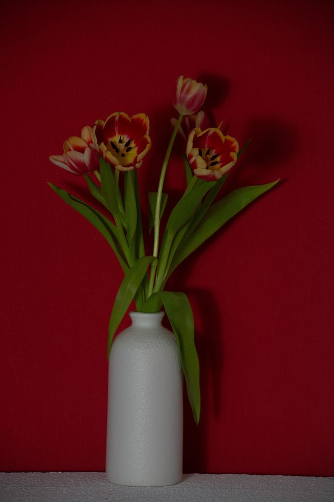 Photograph by Анна Бутко