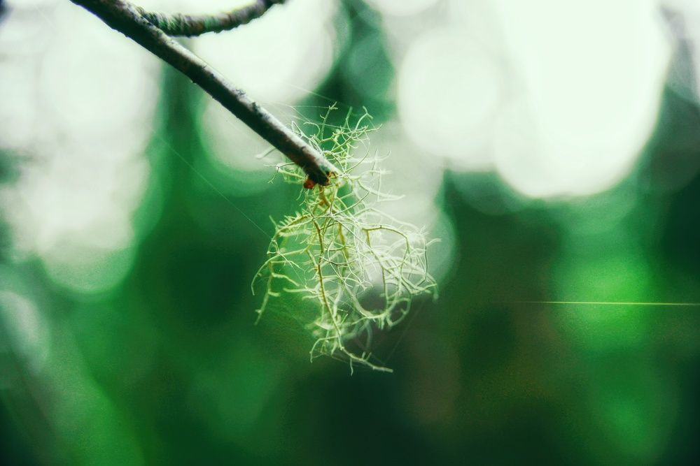 Photograph by Александр Державин