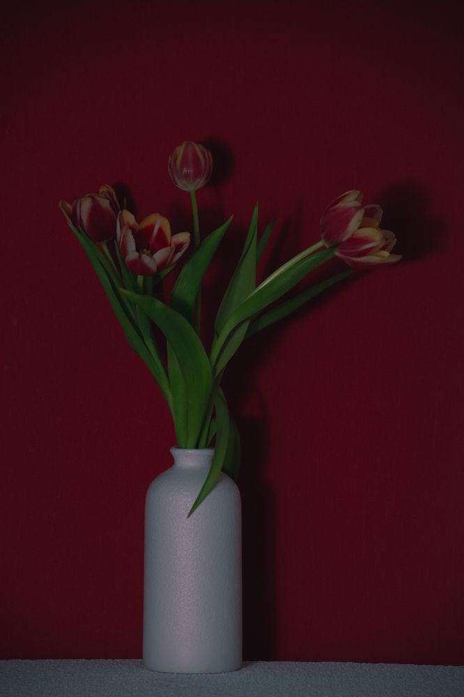 Photograph by Анна Бутко