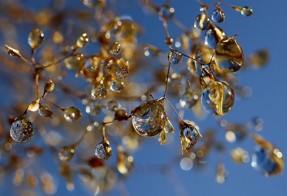 Photograph by Любовь Саханова