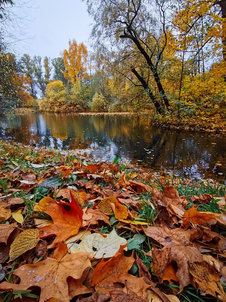 Photograph by Виктория Федосеенко