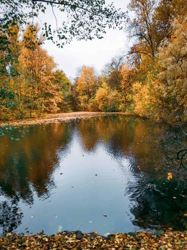 Photograph by Виктория Федосеенко