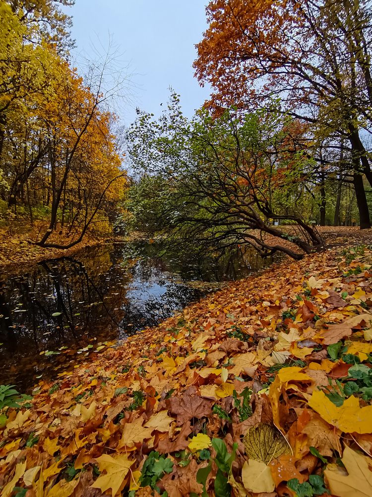 Photograph by Виктория Федосеенко