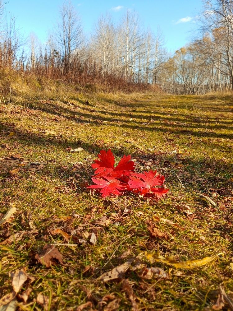 Photograph by Ирина Фирсова