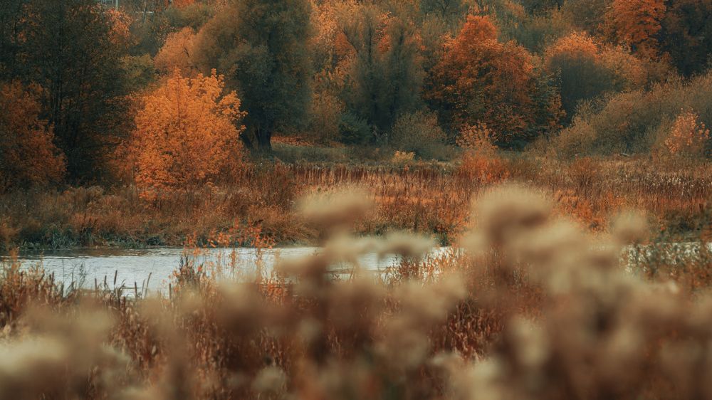 Photograph by Андрей