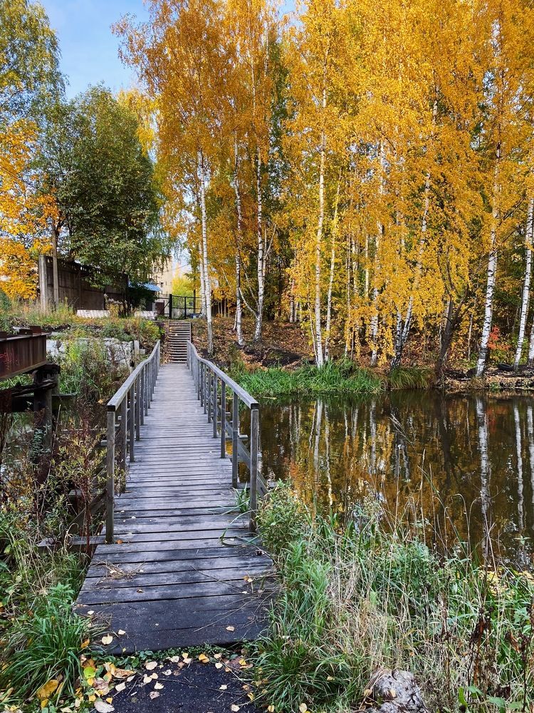 Мост в никуда