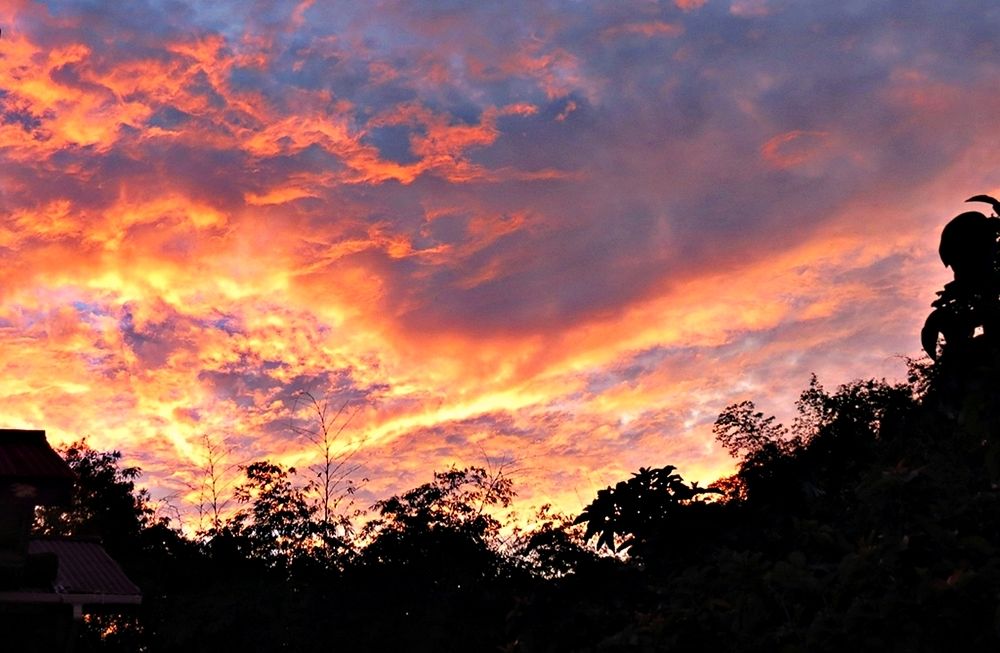 Photograph by Hilary McShine