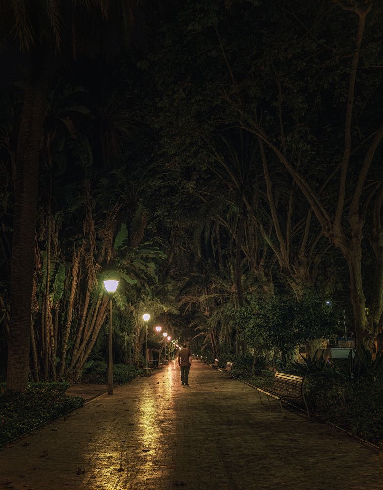 Фотография автора Rafael Nofuentes